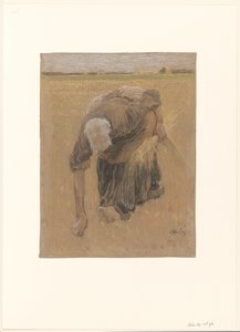 pokłosie kobiety autorstwa Pieter de Josselin