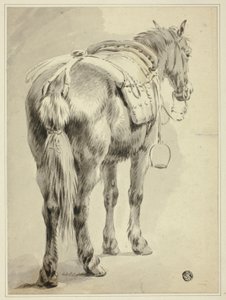 Koń w siodle autorstwa Pieter van Bloemen