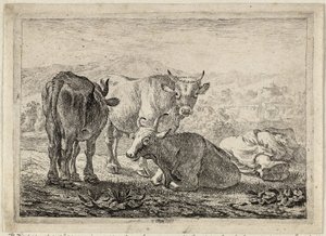 Niemiecki: Drei Rinder und ein schlafender Hirte
Francuski: Les boeufs
Trzy sztuki bydła i śpiący pasterz autorstwa Pieter van Laer