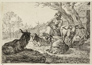 Sheperdess wśród kóz i owiec autorstwa Pieter van Laer