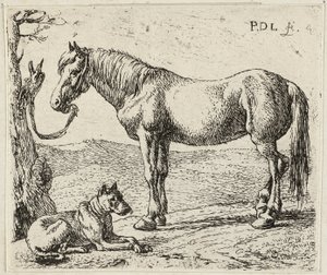 Koń i pies autorstwa Pieter van Laer