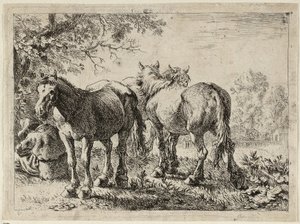 Trzy konie na polu autorstwa Pieter van Laer