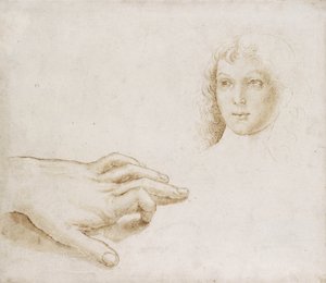 Studia głowy i dłoni (pióro i pędzel w jasnobrązowym tuszu na metalpoint na białym papierze) autorstwa Pietro (circle of) Perugino