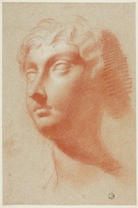 Głowa kobiety