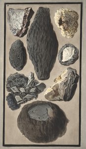 Okazy materii wulkanicznej, z "Campi Phlegraei: Observations on the Volcanoes of the Two Sicilies", Sir William Hamilton (1730-1803), opublikowanej w 1776 r. (rycina ręcznie kolorowana) autorstwa Pietro Fabris