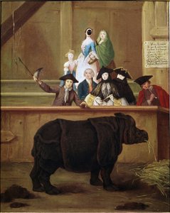 Nosorożec: wystawa Klary, nosorożca indyjskiego. Obraz Pietro Longhi (1702-1785). 1751. XVIII-wieczne muzeum weneckie. Ca 