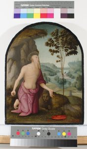 Święty Hieronim na pustyni, ok. 1510-15 autorstwa Pietro Perugino