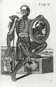 Talerz V z „Tabli anatomicznych” autorstwa Pietro da Cortona