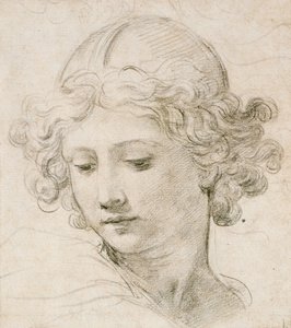 Głowa anioła, spoglądająca w dół w lewo autorstwa Pietro da Cortona