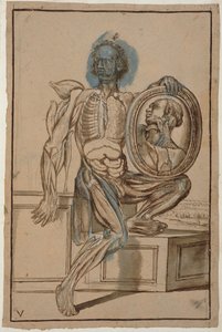 Ms Hunter 653 Płyta V Rysunek anatomiczny, ok. 1610 (ołówek i kreda na papierze) autorstwa Pietro da Cortona