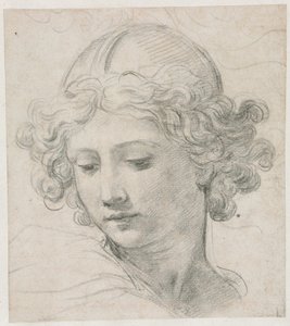 Studium dla Głowy św. Michała autorstwa Pietro da Cortona