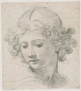 Studium dla Głowy św. Michała, 1633. autorstwa Pietro da Cortona