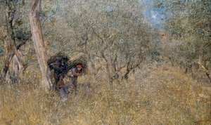 Wśród drzew oliwnych, faszyny, Plinio Nomellini (1866-1943), olej na płótnie, 60x100 cm autorstwa Plinio Nomellini
