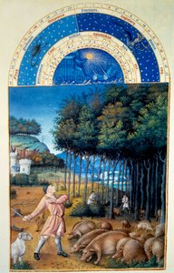 Listopad: ubój żołędzi. Miniatura w „Bardzo bogatych godzinach księcia Berry” Pol De Limburg (XV w.). Chantilly, Musee Conde