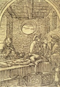 Podawanie Ziół Leczniczych, 1534 autorstwa Polish School