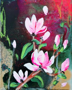 Różowe kwiaty magnolii autorstwa Poonam Choudhary