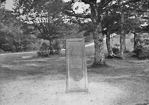 Kamień Rufusa, New Forest, ok. 1896 r.