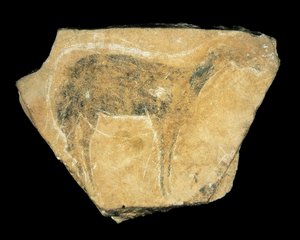 Czarna łania, jaskinia Parpallo, Hiszpania, górny paleolit (malarstwo) autorstwa Prehistoric Prehistoric