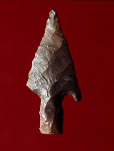 Starożytność egipska: grot strzały ze stanowiska Fajum (Fajum lub Fajum) w Egipcie. Okres predynastyczny. Verone, Museo Civico di Storia Naturale, Włochy autorstwa Prehistoric Prehistoric