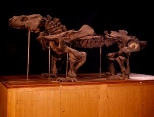 Prehistoryczny; dinozaury: szkielet ichtiozaura. Paryż, muzeum historii naturalnej autorstwa Prehistoric Prehistoric