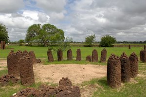 Prehistoria: Megalityczny krąg kamieni z Wassu w Gambii (foto) autorstwa Prehistoric Prehistoric