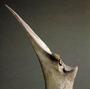 Prehistoria, kultura Polada: czubek kości z Polada Tourbiere, Lonato. Epoka brązu. Rzym, Narodowe Muzeum Etnografii Prehistorycznej Luigi Pigorini autorstwa Prehistoric Prehistoric