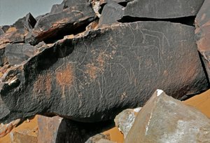 Prehistoria, sztuka naskalna: nagrobek przedstawiający bydło. Styl Tazina. Epoka kamienia 5000-2000 p.n.e. Taghit, Haut plateau du Hoggar (Ahaggar), Algieria autorstwa Prehistoric Prehistoric