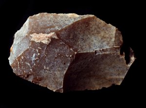 Prehistoria: wycięty na skrobaku kamiennym. Górny paleolit, Magdalena. Verone, Miejskie Muzeum Historii Naturalnej, Włochy autorstwa Prehistoric Prehistoric