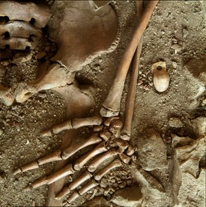 Prehistoria: nastoletni grób. Szczegółowy widok pogrzebowej trousseau z jaskini Candid Arene (Finale Ligure), Liguria. Górny paleolit, 24000 pne. Geny, museo di archeologia ligure autorstwa Prehistoric Prehistoric
