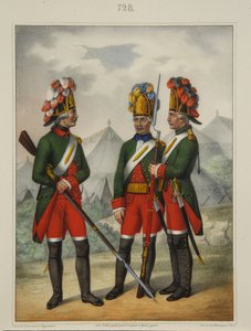 Grenadierzy pułku Preobrazhensky, Semenovsky i Izmailovsky w latach 1763-1775, początek lat 40. XIX wieku autorstwa Pyotr Ivanovich Razumikhin