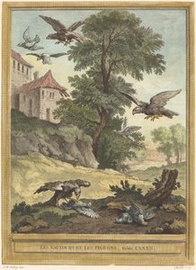 Sępy i gołębie autorstwa Quentin Pierre Chedel after Jean Baptiste Oudry