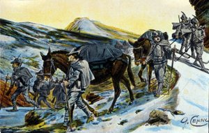 Pierwsza wojna światowa: grupa włoskich myśliwych alpejskich w uznaniu dla ich mułów w 1915 roku. Ilustracja Quinto Cenni (1845-1917) autorstwa Quinto Cenni