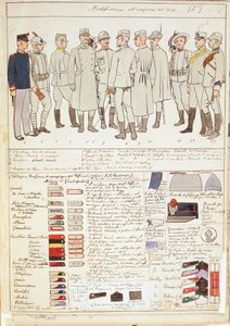 Jednolite wariacje Królestwa Włoch, kolorowa tablica autorstwa Quinto Cenni autorstwa Quinto Cenni