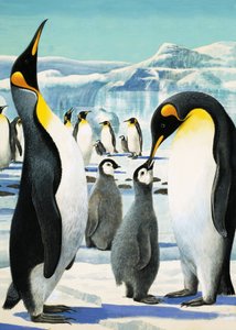 King Penguin autorstwa R.B. Davis