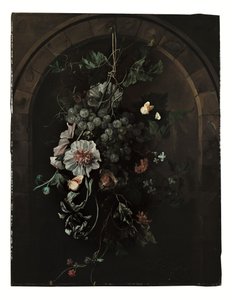Szpaler winogron, malwy, irysy, malwy, nagietki afrykańskie, powojniki, kasztanowiec i jeżyny z motylami i innymi owadami zawieszone przed kamiennym łukiem. autorstwa Rachel Ruysch