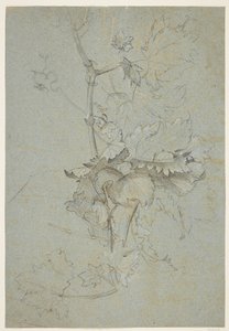 Badanie roślin autorstwa Rachel Ruysch