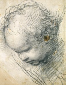 Głowa cheruba (czarna kreda i węgiel na papierze) autorstwa Raffaello Sanzio Raphael
