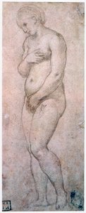 Studium Wenus, ok. 1500-1520 autorstwa Raffaello Sanzio Raphael