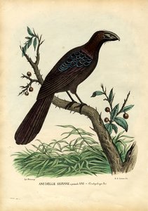 Lata 1863-79 autorstwa Raimundo Petraroja