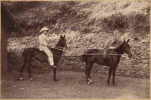 Kapitan H. S. Rawhinson (awers) autorstwa Raja Deen Dayal