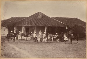 Dr Morris i towarzystwo, Jhansi (awers)