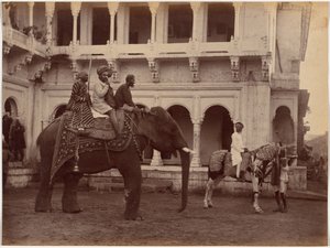 Ramkishore Singh z Rewy autorstwa Raja Deen Dayal