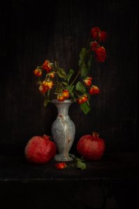  autorstwa Ramiz Sahin