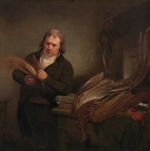 Ornitolog, prawdopodobnie John Latham autorstwa Ramsay Richard Reinagle