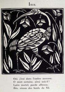 Ibis, ilustracja z "Bestiarium" lub "Procesji Orfeusza" Guillaume