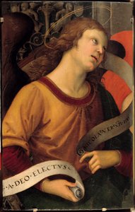 Anioł. Fragment ołtarza Baronciego. Obraz Raffaello Sanzio dit Raphael (1483-1520) autorstwa Raphael