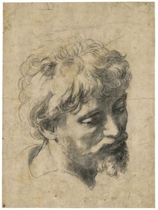 „Portret młodego apostoła” (głowa młodego apostoła) węgiel na papierze, Rafael (Raffaello Sanzio) (1483-1520) Kolekcja prywatna