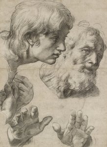Studium głów dwóch apostołów i ich rąk (czarna kreda zetknięta z bielą na szarym papierze) autorstwa Raphael