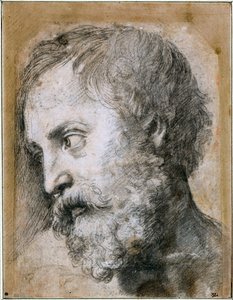 Kierownik Studium Apostołowego na temat Przemienienia Pańskiego, 1519-1520 autorstwa Raffaello Sanzio Raphael
