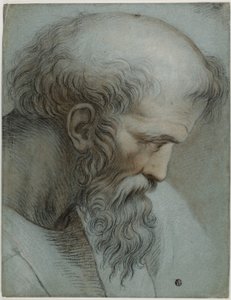 Szef Pitagorasa autorstwa Raphael